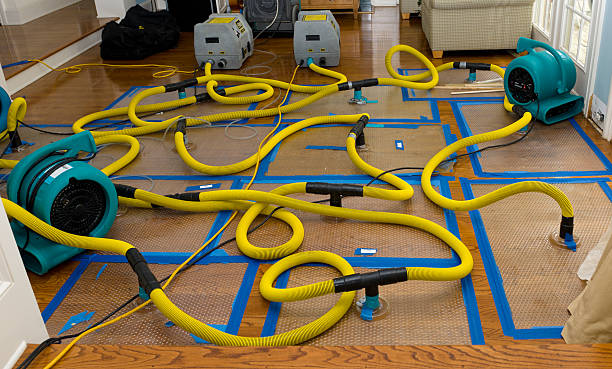 Professional Crawl Space Water Removal technician working in La Salle, MI